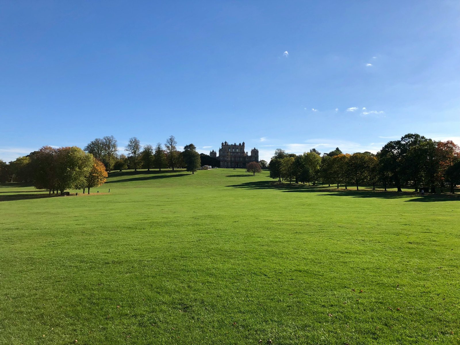 Wollaton Deer Park, Nottingham